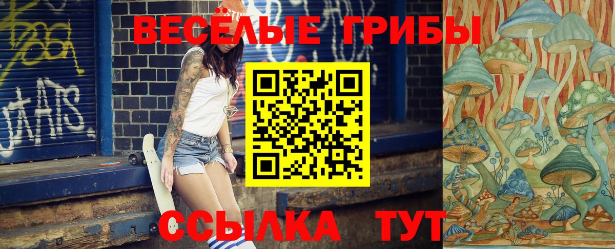 Владимир  Галлюциногенные грибы мухоморы  Вход с VPN 