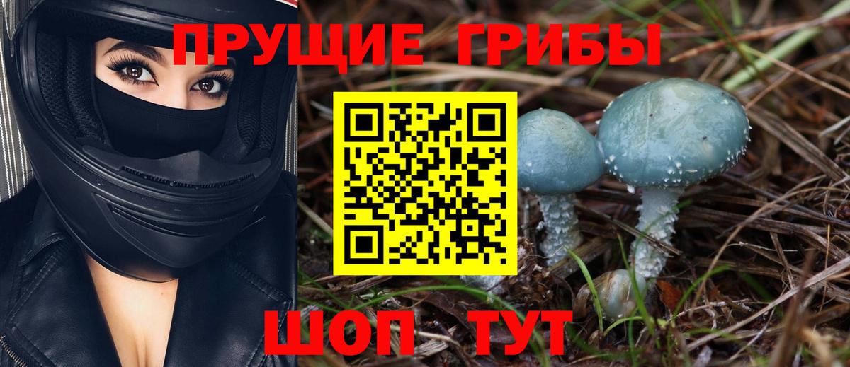 Псилоцибиновые грибы мухоморы Владимир